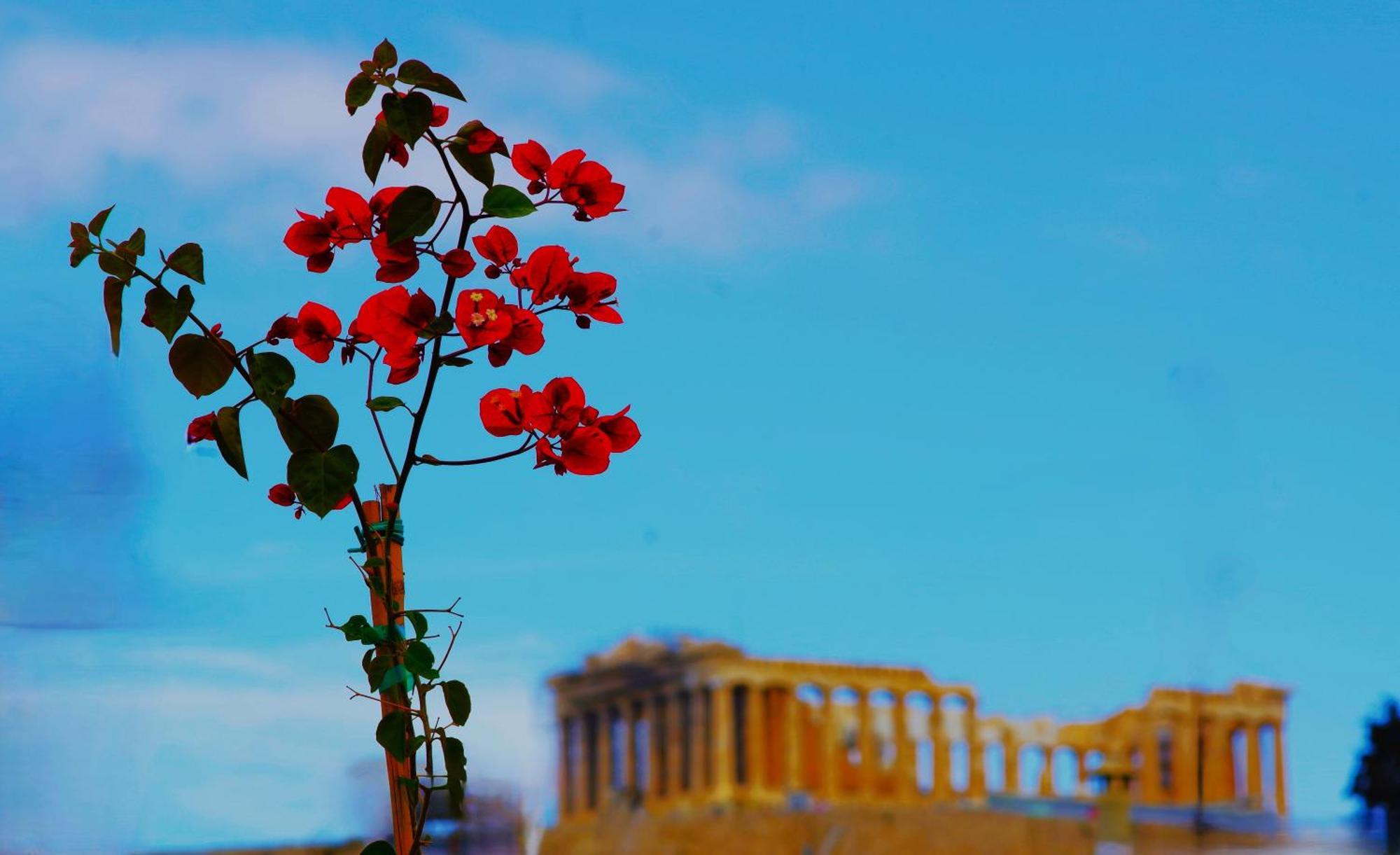 אפרטהוטל Absolute Athens Acropolis View מראה חיצוני תמונה