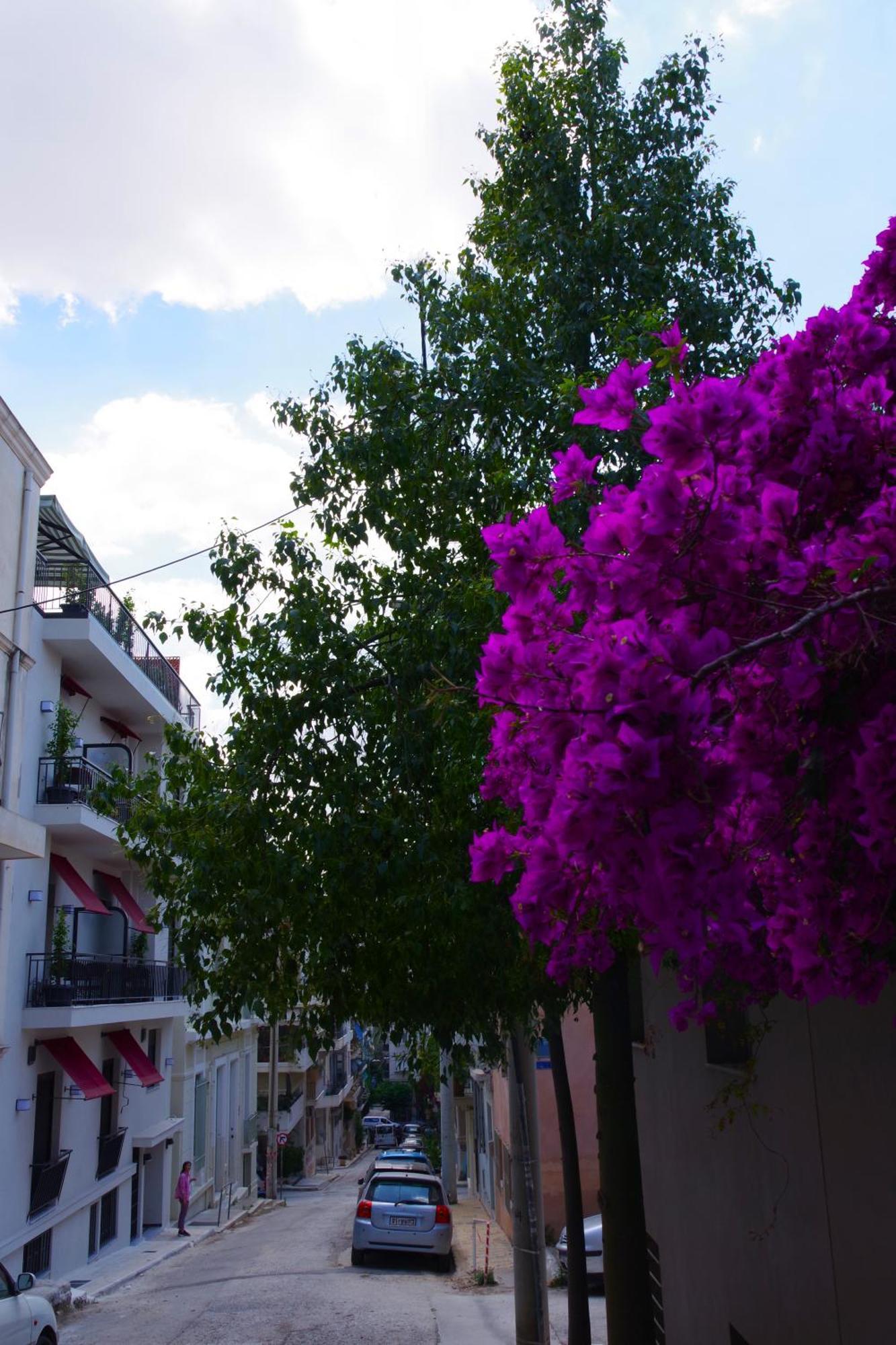 אפרטהוטל Absolute Athens Acropolis View מראה חיצוני תמונה